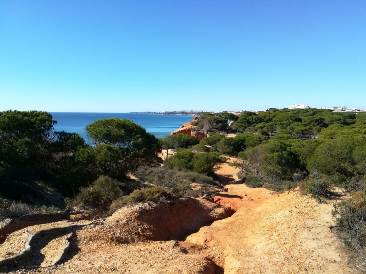 Algarve Friendly Albufeira